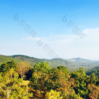 美丽的热带景观高角视图泰国