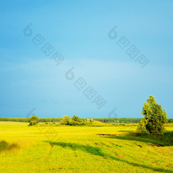 晚上夏天景观夏天景观与种秣草地和风暴云