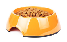 干猫食物黄色的碗孤立的白色背景