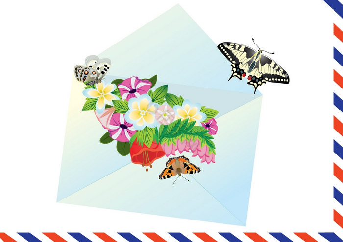 信花和蝴蝶图片