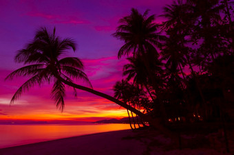 热带<strong>日落</strong>与棕榈树的海滩