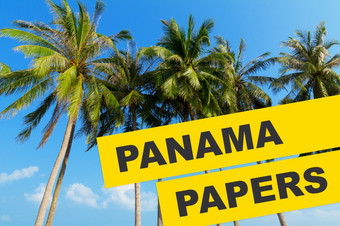 巴拿马论文文档泄漏概念拼贴画与热带棕榈一绺头发和巴拿马论文文本