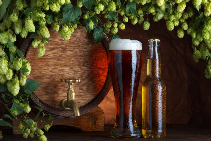 啤酒玻璃和瓶与古董啤酒桶与新鲜的啤酒花视锥细胞静物