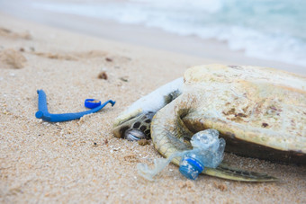 死乌龟与塑料垃圾海洋海滩