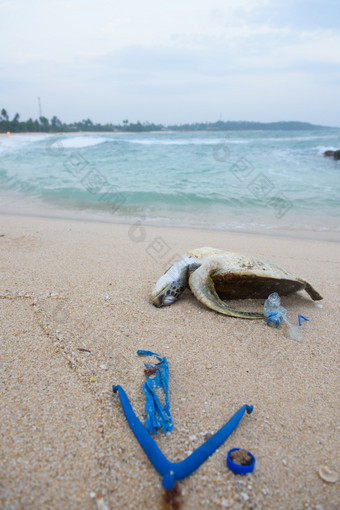 死乌龟与塑料<strong>垃圾海洋</strong>海滩