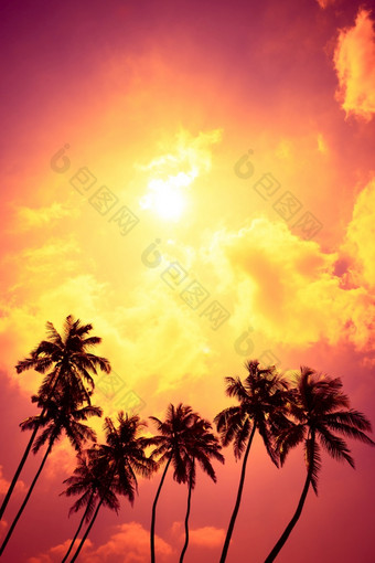 热带棕榈树日落海滩与闪亮的太阳和色彩斑斓的云复制空间