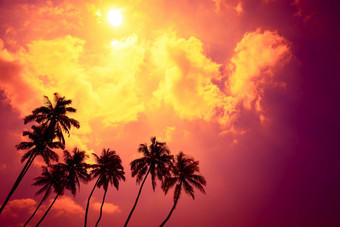 热带棕榈树<strong>日落</strong>海滩假期岛与闪亮的太阳和<strong>色彩斑斓</strong>的<strong>云</strong>复制空间
