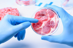 科学家实验室指出肉样本开放实验室佩特里菜