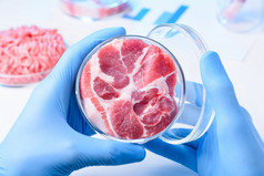 科学家持有开放实验室佩特里菜与生肉