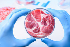 生整个肉样本实验室佩特里菜清洁培养肉概念