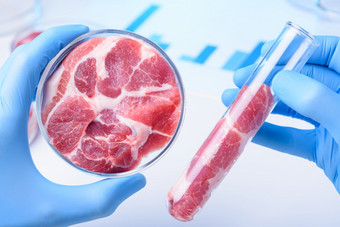 生肉科学家手肉实验室测试管和实验室佩特里菜培养清洁实验室肉概念