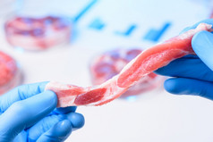 肉片检查人工实验室种植肉概念