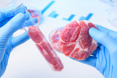 两个肉样品科学家手一个实验室玻璃测试管和一个手为比较清洁培养肉概念