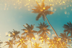 古董健美的热带棕榈树与闪亮的金散景效果