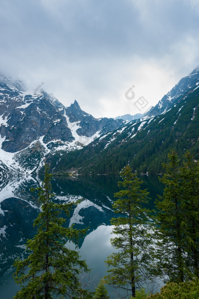 松树在湖雪山