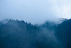 高山森林与低云和雾之间的的树和山峰黄昏