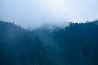 高山森林与低云和雾之间的的树和山峰黄昏时间