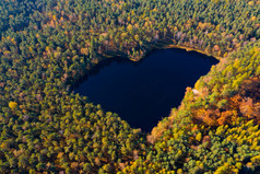 空中视图森林湖形状心秋天森林无人机照片浪漫的爱池塘