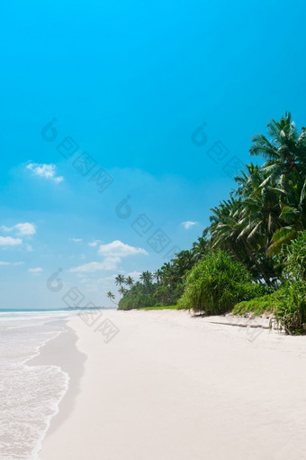 热带假期海滩空清洁白色沙子和椰子棕榈树
