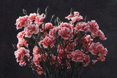 康乃馨花花束古董颜色健美的在黑暗喜怒无常的艺术背景