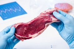 肉实验室科学家手肉检查控制检查人工培养肉概念