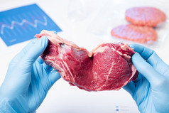 肉牛排片实验室科学家手肉检查控制检查人工培养肉概念