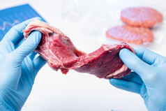 红色的肉实验室科学家手肉检查控制检查人工培养肉概念