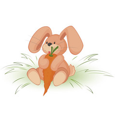 兔子与胡萝卜向量插图白色背景