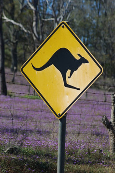 标志为袋鼠穿越澳大利亚