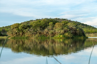 成千上万的人鸟巢小岛包围湖的莫科洛迪自然储备博茨瓦纳
