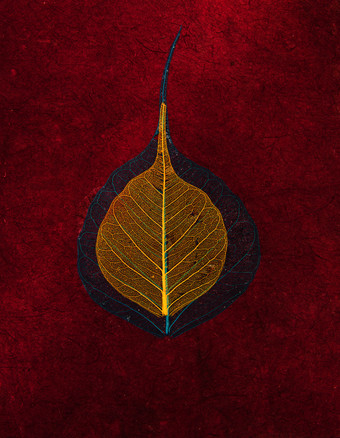 品红色的手工制作的亚洲纸与划痕和叶子纹理背景