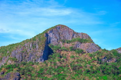 山与绿色热带森林巴拉望省菲律宾