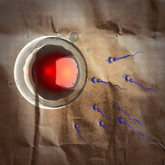 精子和蛋细胞微观图像画纸