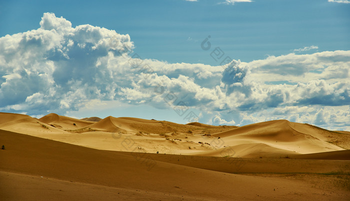 蒙古金沙蒙古Els桑迪沙丘沙漠明亮的阳光明媚的一天