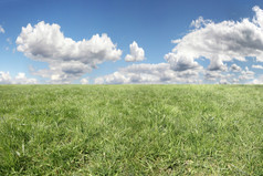 背景多云的天空而且绿色草