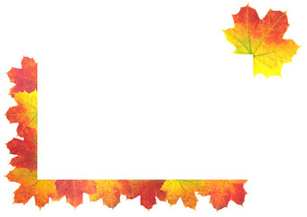 秋天叶子框架白色背景