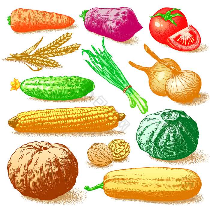 蔬菜水果和植物向量
