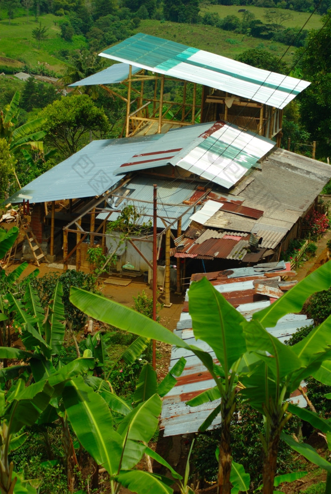 建筑咖啡农场哥伦比亚包围香蕉植物咖啡农场哥伦比亚