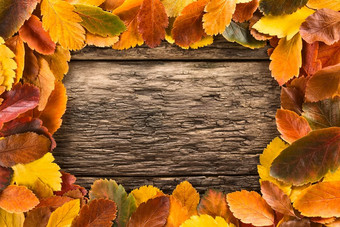 色彩斑斓的秋天叶子乡村木表面形成框架周围复制空间的中间秋天叶子形成框架
