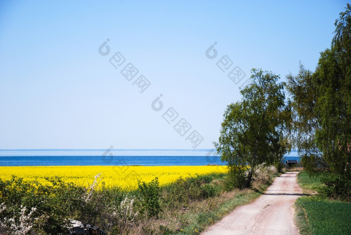 砾石路的海岸通过明亮的农村景观