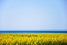 色彩斑斓的海岸线的海岸春天与黄色的场和蓝色的水