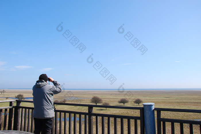 鸟观察家塔伟大的湿地男人。看鸟与双筒望远镜从塔的伟大的草原奥滕比的瑞典岛奥兰著名的观鸟网站