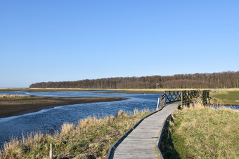 木小径通过的<strong>湿地</strong>拜尔港的瑞典岛奥兰著名的观鸟网站木小径通过<strong>沼泽</strong>地