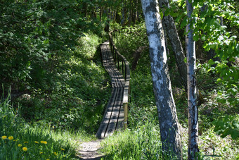 木人行桥绿色森林小径与木桥和扶手绿色森林的瑞典岛奥兰