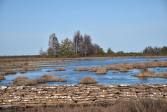 淹没了景观与草塔夫茨大学和老石头墙春天的瑞典岛奥兰