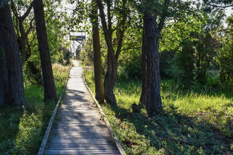 木人行桥观鸟塔的瑞典自然储备拜尔港的岛奥兰