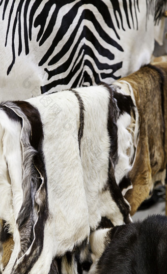 动物皮工艺市场奢侈品细节和时尚动物皮工艺市场