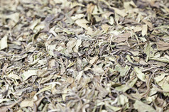 草本植物输液细节干草本植物茶和传统面向传统的市场