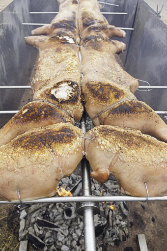 烤猪肉的烧烤烹饪细节猪和它的肉脂肪丰富的食物健康的食物