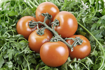 西红柿绿色背景细节新鲜的蔬菜健康的生活
